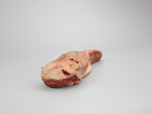 pig tongue raw - 3d scan 3Dモデル