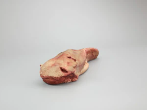 pig tongue raw - 3d scan 3D Model