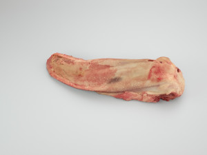 pig tongue raw - 3d scan 3Dモデル