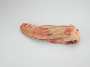 pig tongue raw - 3d scan 3D Model