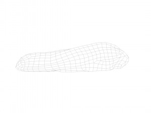 pig tongue raw - 3d scan 3Dモデル