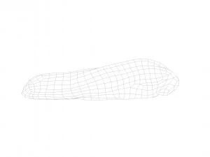 pig tongue raw - 3d scan 3D Model