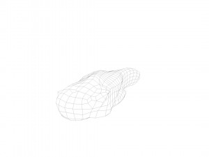 pig tongue raw - 3d scan 3Dモデル