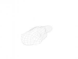 pig tongue raw - 3d scan 3D Model