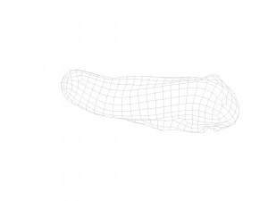 pig tongue raw - 3d scan 3D Model
