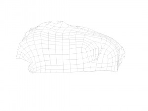 pig raw meat - 3d scan 3D Model