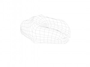 pig raw meat - 3d scan 3D Model