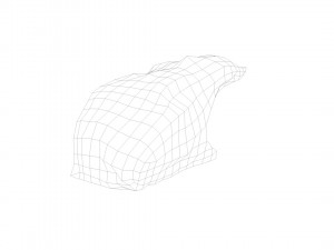 pig raw meat - 3d scan 3D Model