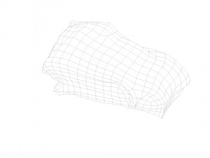 pig raw meat - 3d scan 3D Model