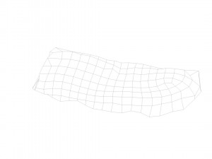 pig raw ribs - 3d scan 3D-Modell