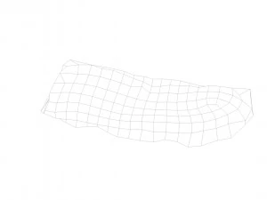 pig raw ribs - 3d scan 3D Model