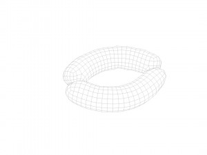 Raw pig sausage - 3d scan Model 3D