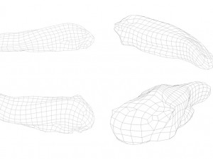 raw pork parts - x10 pack 3D-Modell