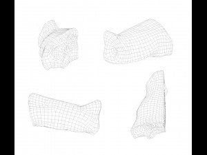 raw pork parts - x10 pack 3D-Modell