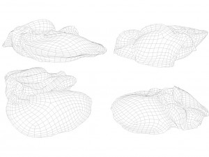 raw pork parts - x10 pack 3D-Modell