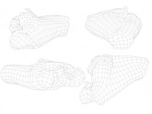 raw pork parts - x10 pack 3D-Modell