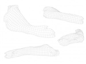 raw pork parts - x10 pack 3D-Modell