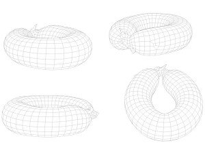 raw pork parts - x10 pack 3D-Modell