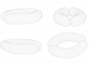 raw pork parts - x10 pack 3D-Modell