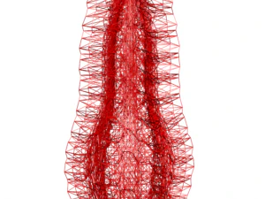 vase 5-4 3D Model