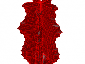 vase 8-12 3D 模型