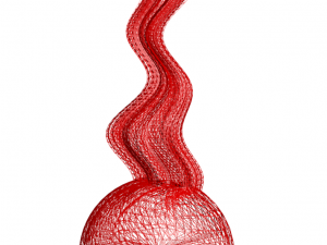 vase 8-16 Modello 3D