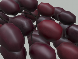 Delicious purple grapes Modelo 3D