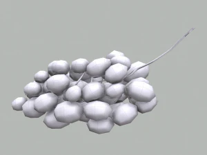 Delicious purple grapes 3D Model