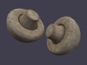 mushroom 3D Model