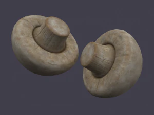 mushroom 3D Model