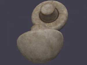 mushroom 3D Model