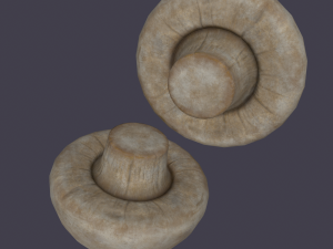 mushroom 3D Model