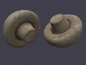 mushroom 3D Model