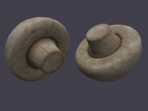 mushroom 3D Model