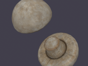 mushroom 3D Model