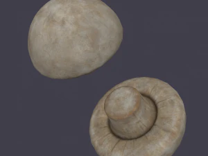 mushroom 3D Model