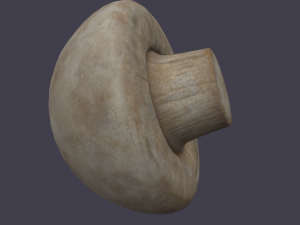 mushroom 3D Model