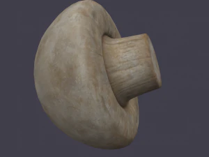 mushroom 3D Model