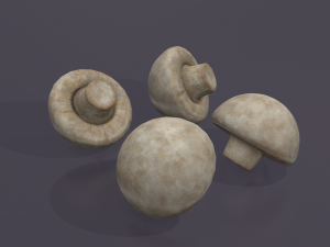 mushroom 3D Model