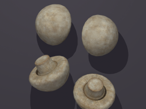 mushroom 3D Model