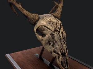 Ram skull mask decoration 3D Model