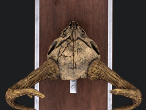 Ram skull mask decoration 3D Model