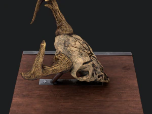 Ram skull mask decoration 3D Model