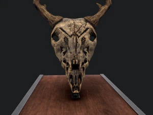 Ram skull mask decoration 3D Model