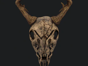 Ram skull mask decoration 3D Model