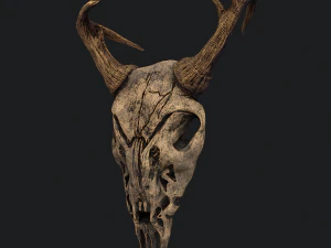 Ram skull mask decoration 3D Model