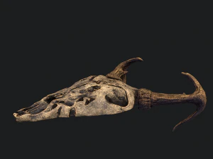 Ram skull mask decoration 3D Model