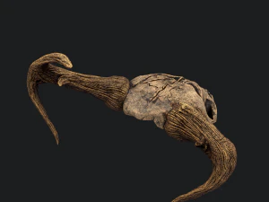 Ram skull mask decoration 3D Model