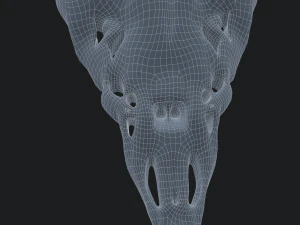 Ram skull mask decoration 3D Model