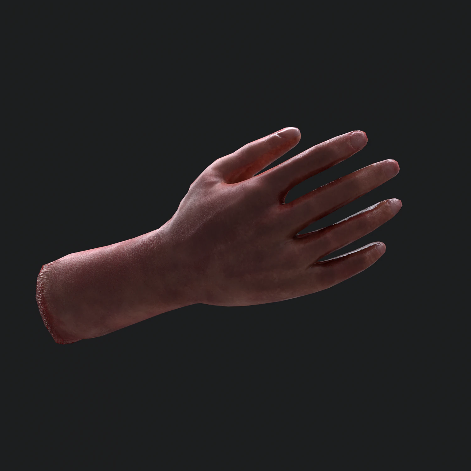 Severed arm 3D Model .c4d .max .obj .3ds .fbx .stl .blend